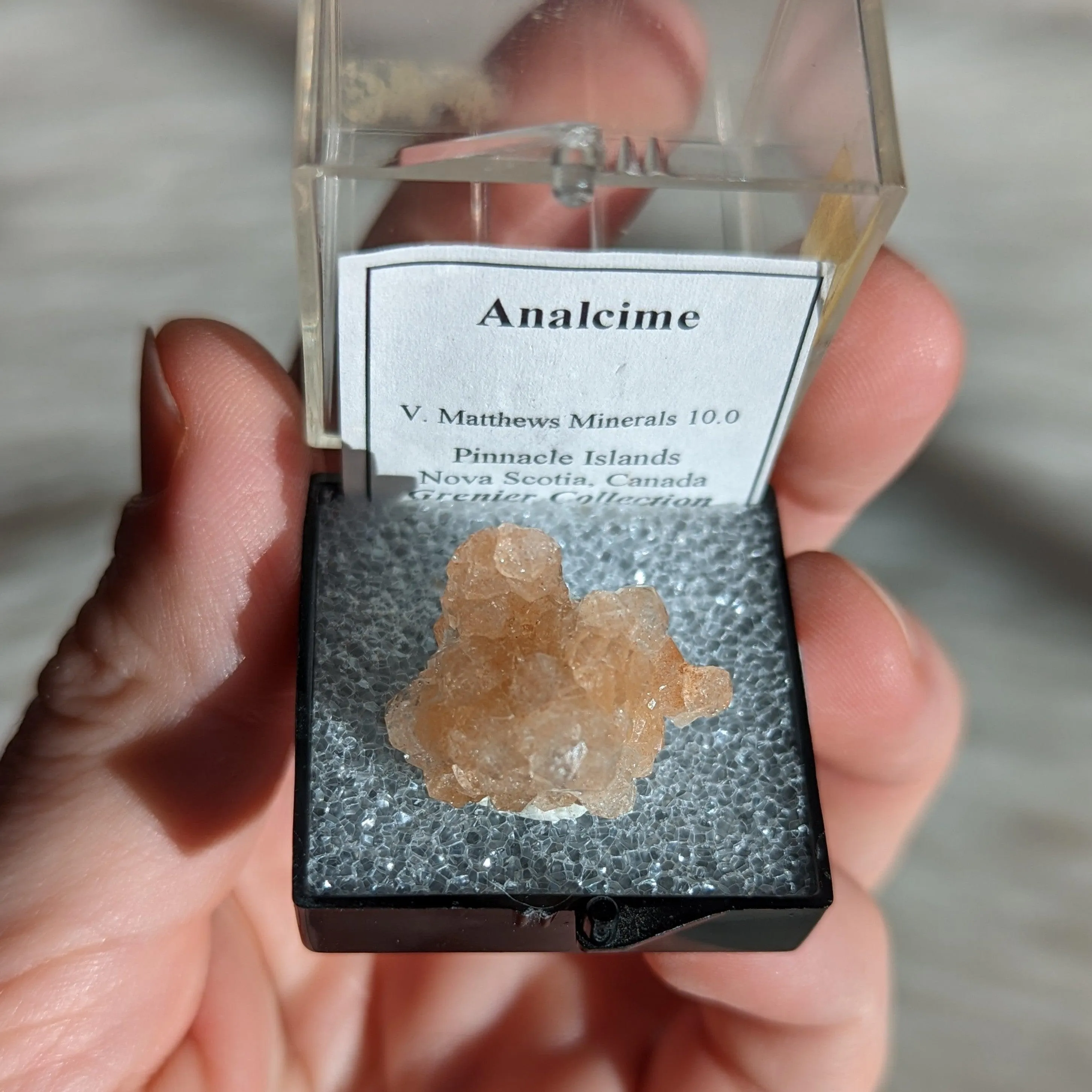 RARE FIND ~ Sparkling Analcime Collectors Specimen from Nova Scotia, CA