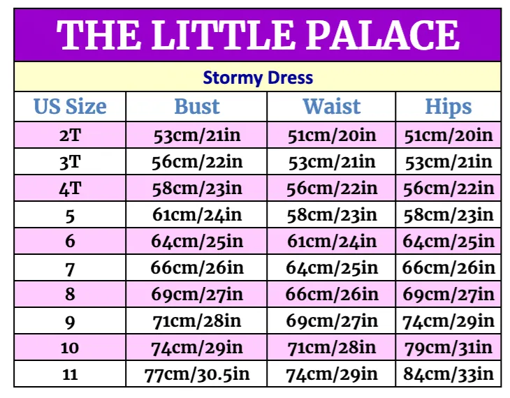 Stormy Dress - Priority Shipping