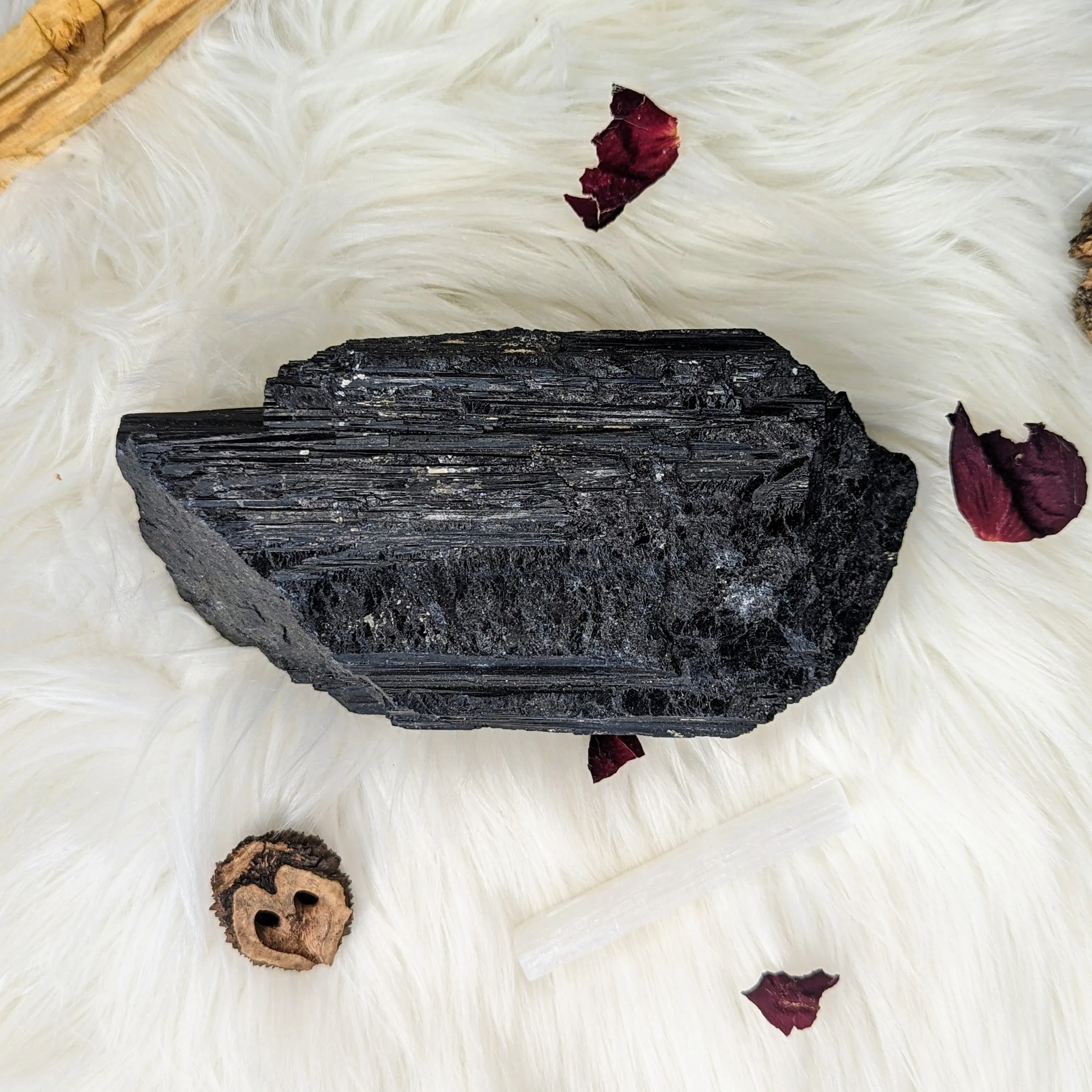 XL Black Tourmaline Display Specimen ~ Protective and Grounding Energy