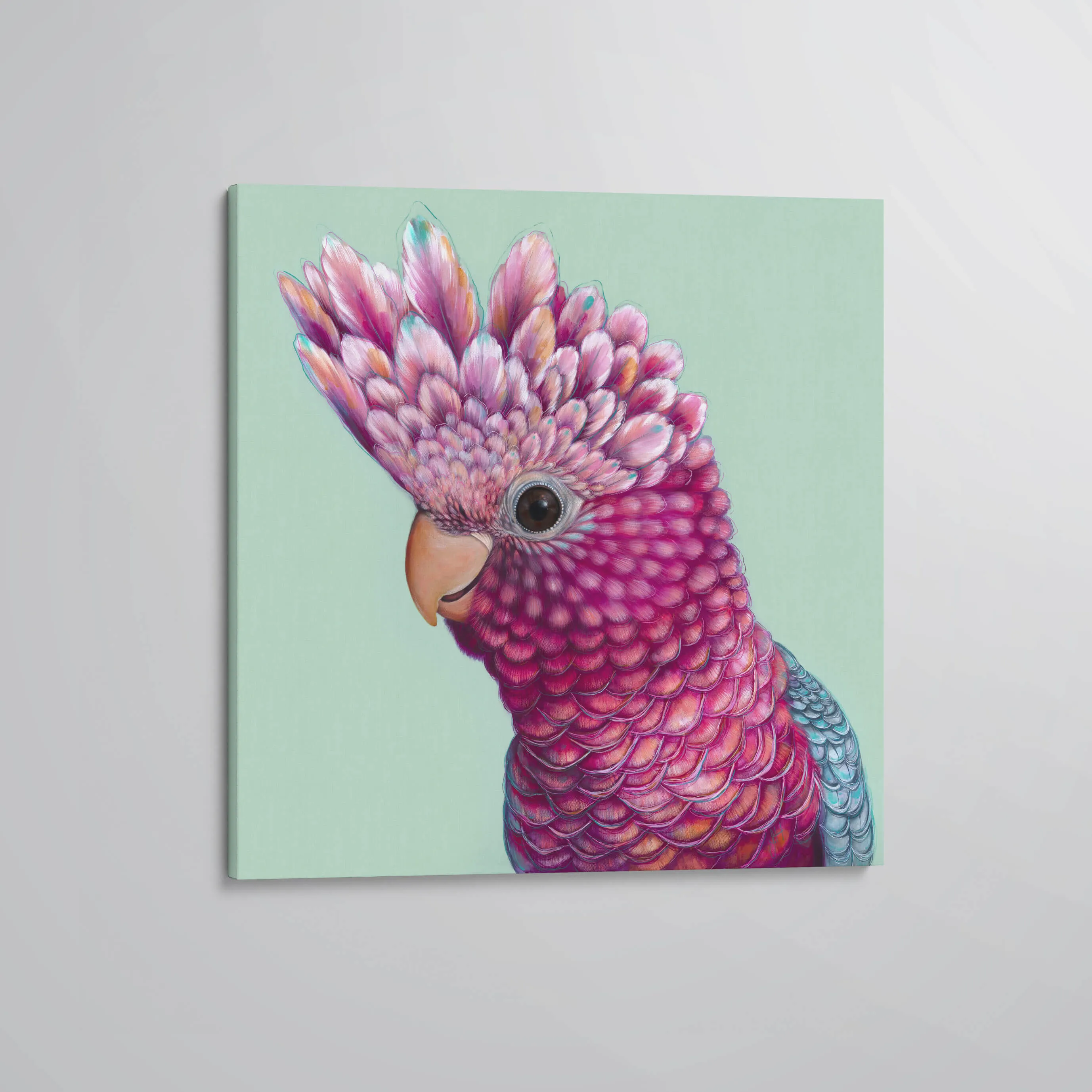 'Ziggy' The Galah canvas print