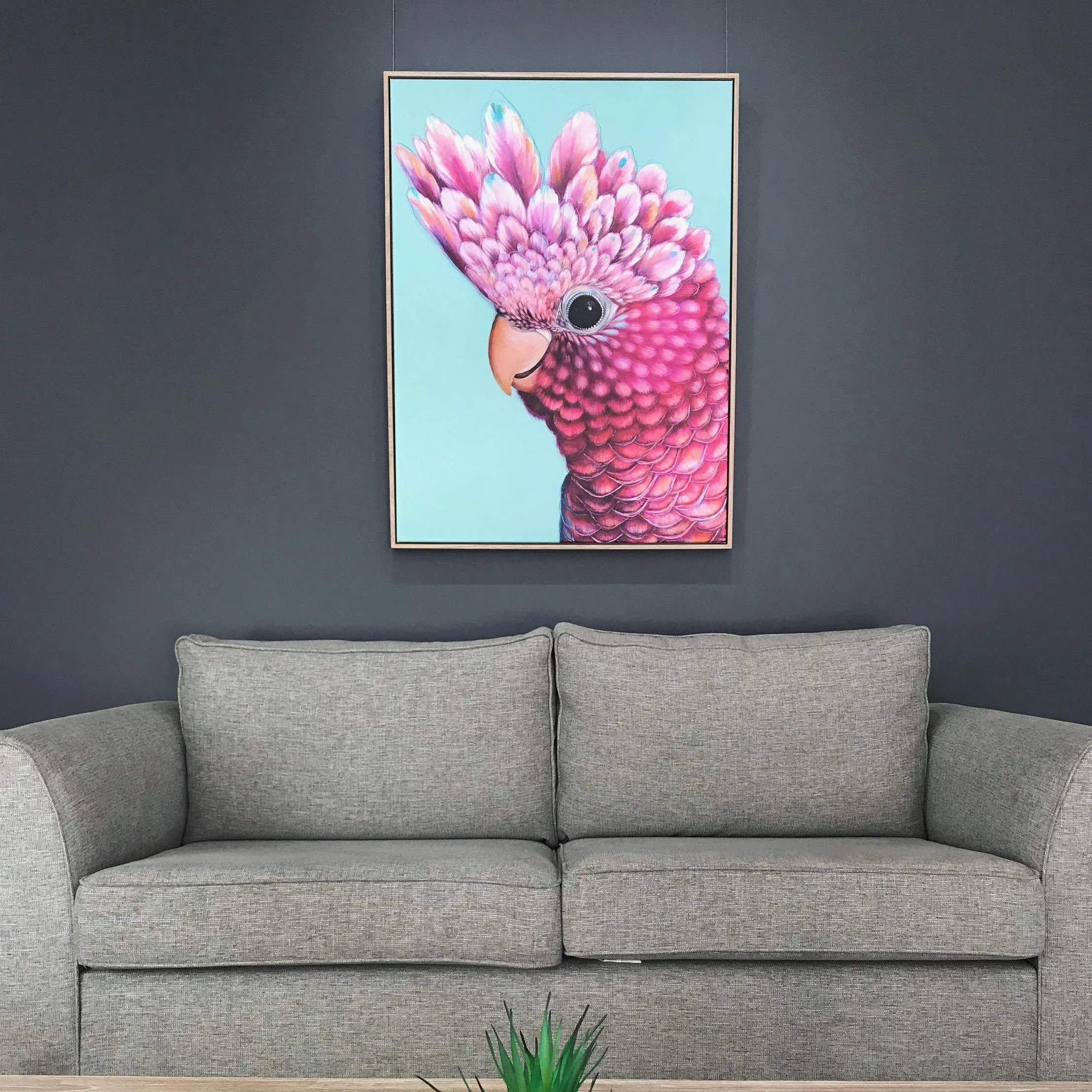 'Ziggy' The Galah canvas print